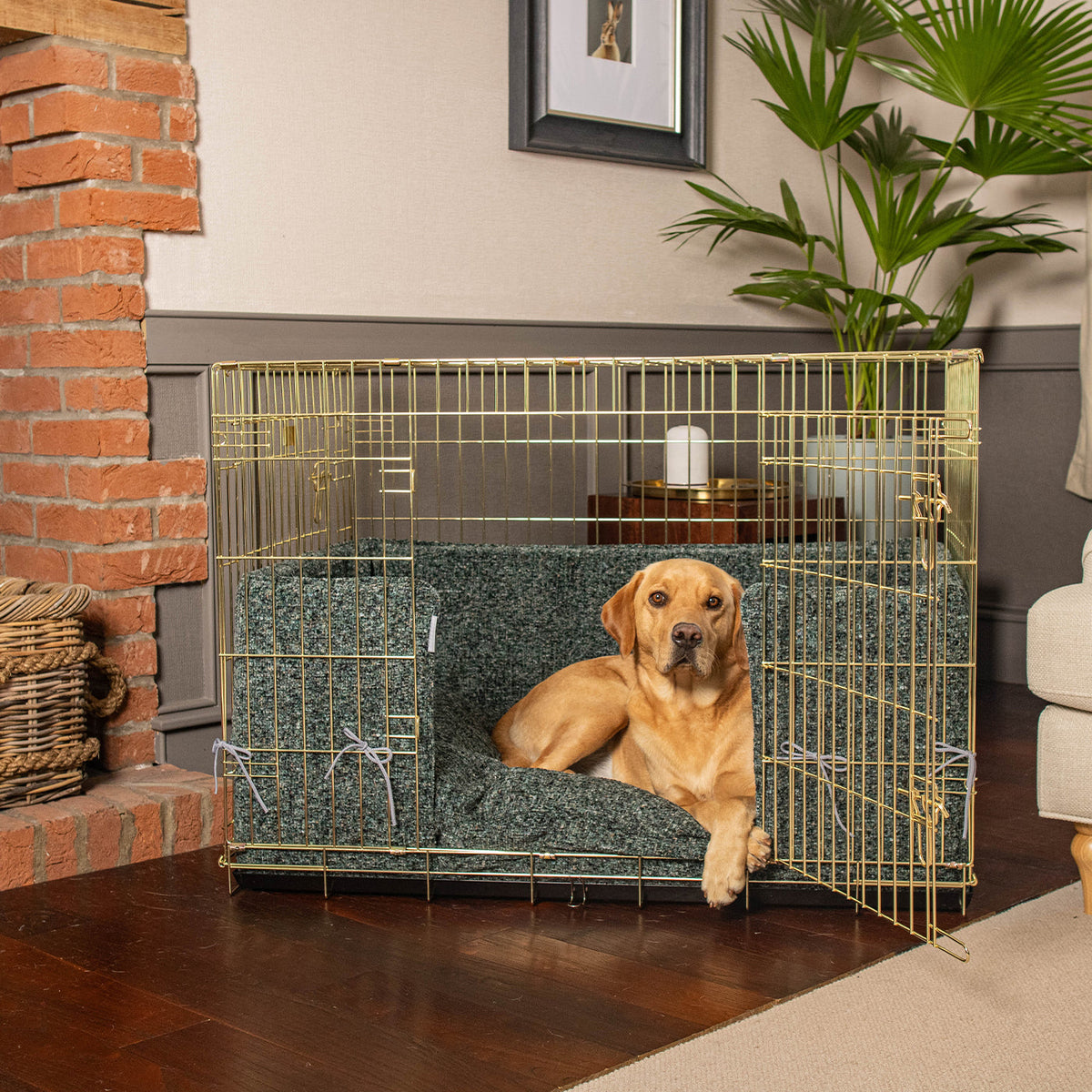 Dog Crate with Cushion & Bumper in Emerald Minerals