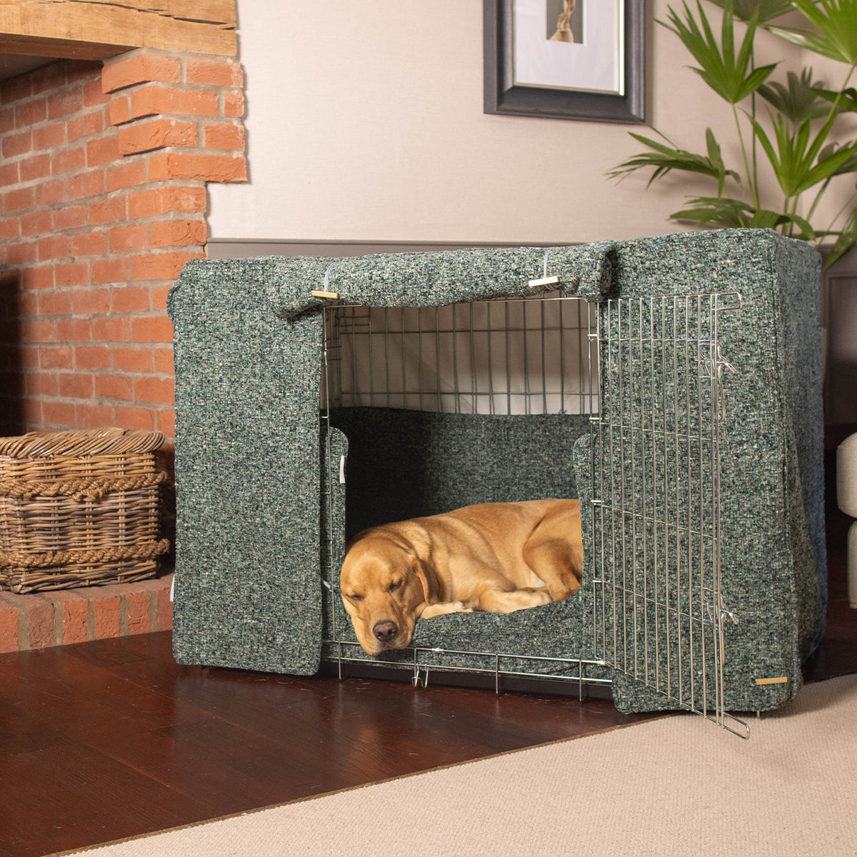 Dog Crate Set In Emerald Minerals, view 3