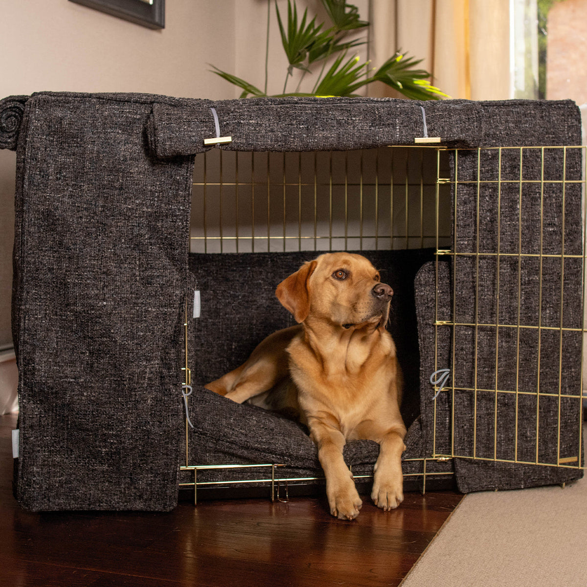 Dog Crate Set In Obsidian Minerals, view 2