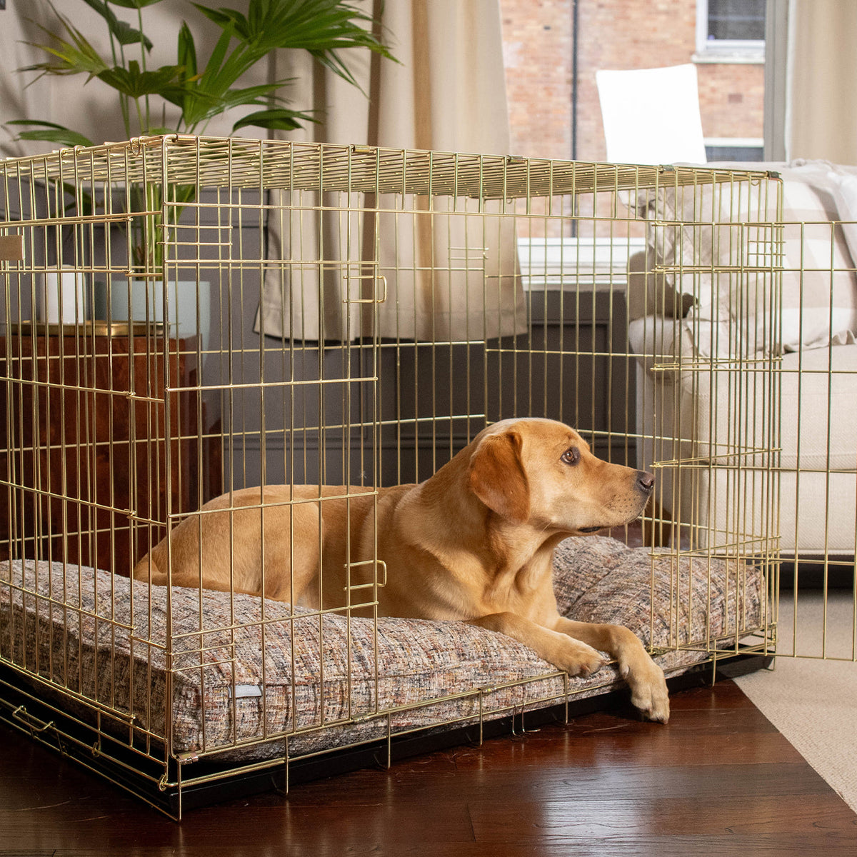 Dog Cushion in Opal Minerals