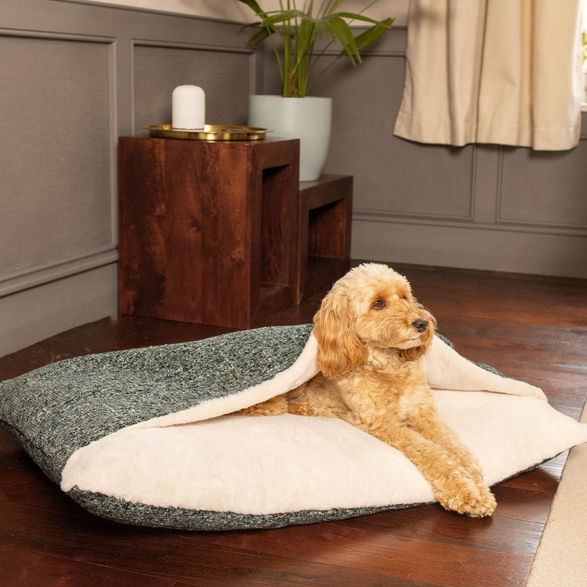 Sleepy Burrows Bed With Removable Cover In Emerald Minerals
