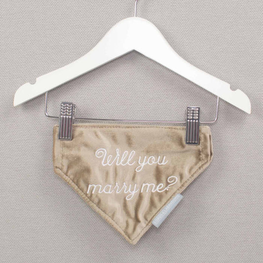 'Will You Marry Me?' Bandana In Mushroom Velvet