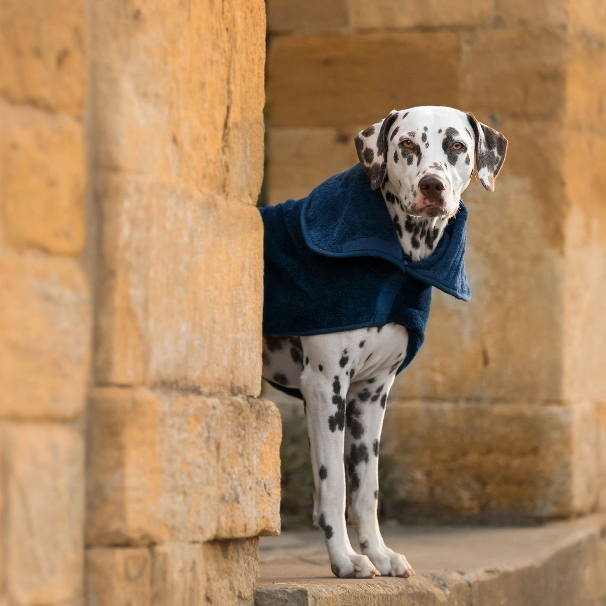 Bamboo Drying Coat in Navy, view 3