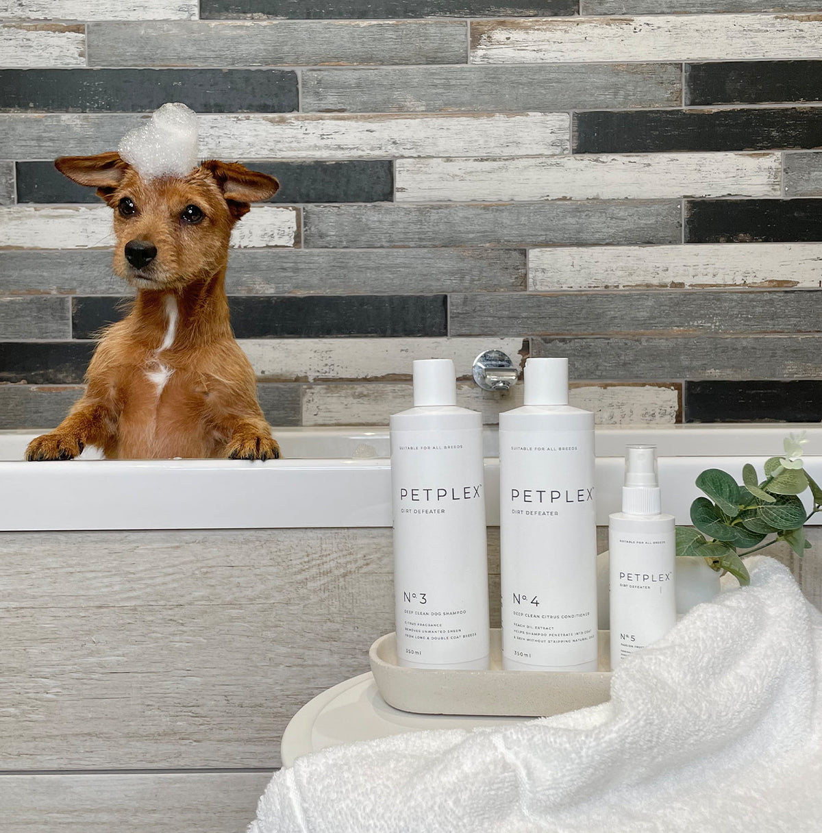 PetPlex No. 4 Dirt Defeater Conditioner 350ml, view 3