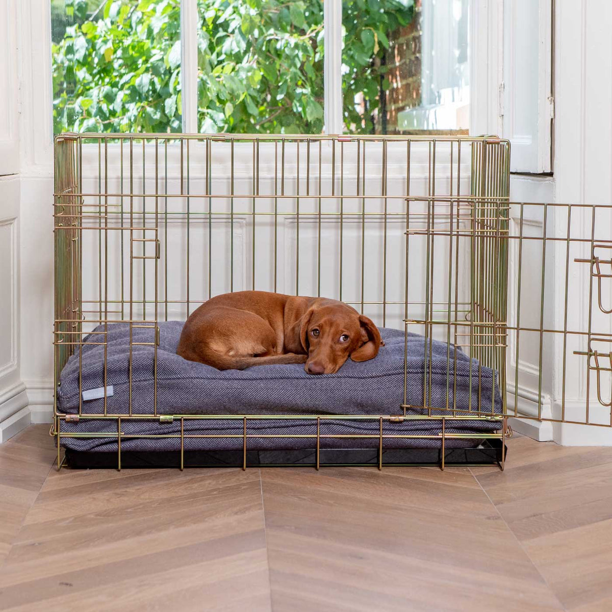 Dog Cushion in Oxford Herringbone Tweed, view 6
