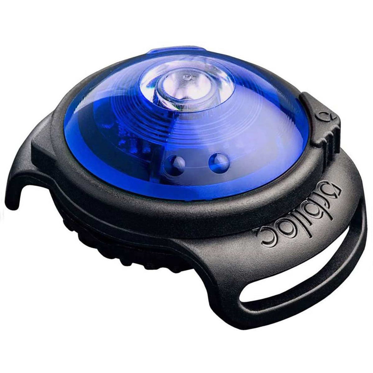 [color:orbi blue]