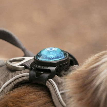 Orbiloc Dog Dual Safety Light, view 6