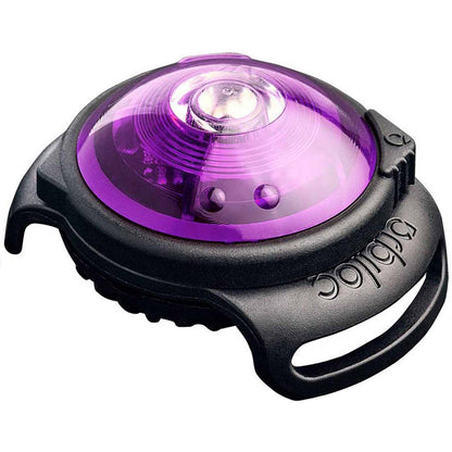 [color:orbi purple]