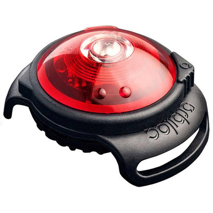 [color:orbi red]