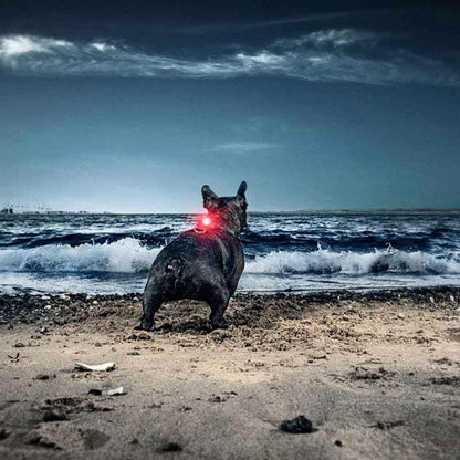 Orbiloc Dog Dual Safety Light, view 4