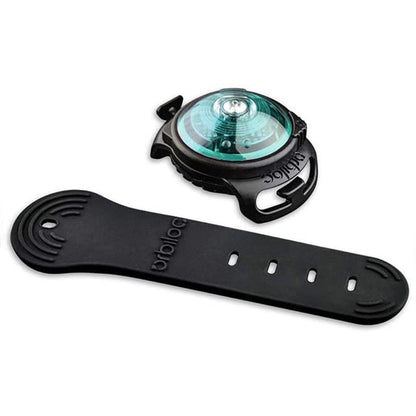 [color:orbi turquoise]
