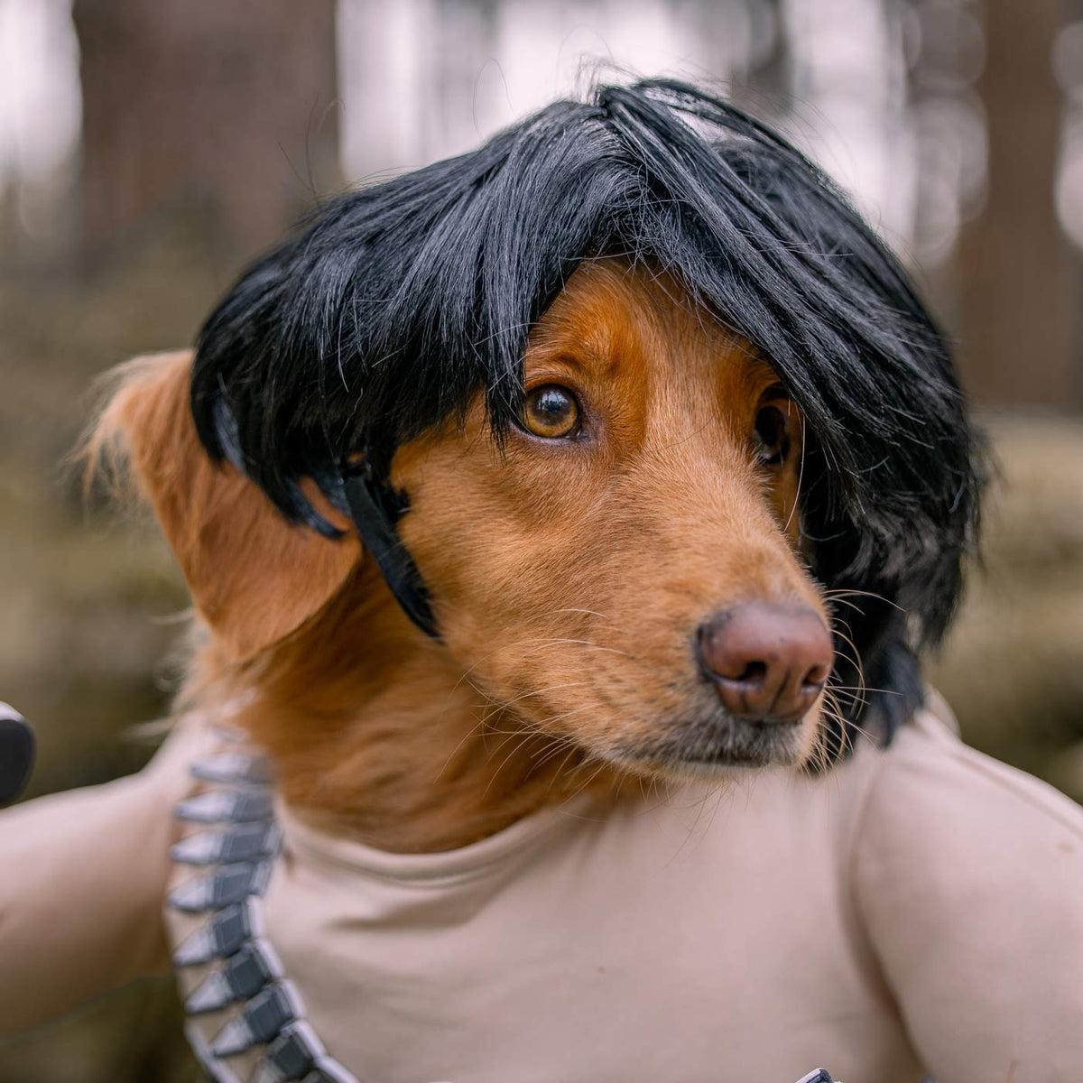 Ram-Bone Dog Costume, view 6