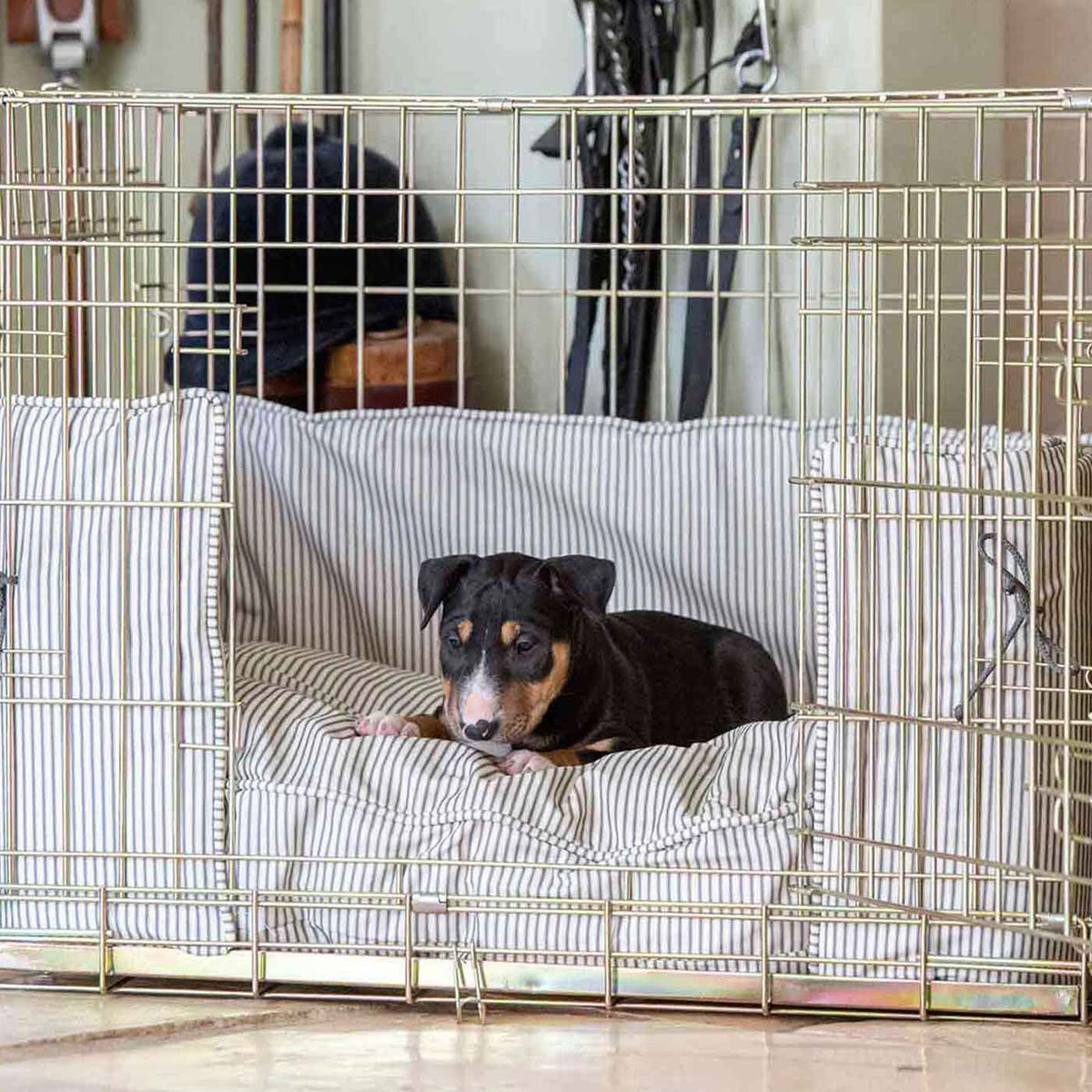 Dog Crate Bumper in Regency Stripe, view 4