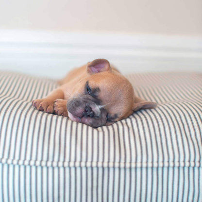 Dog Cushion in Regency Stripe, view 7