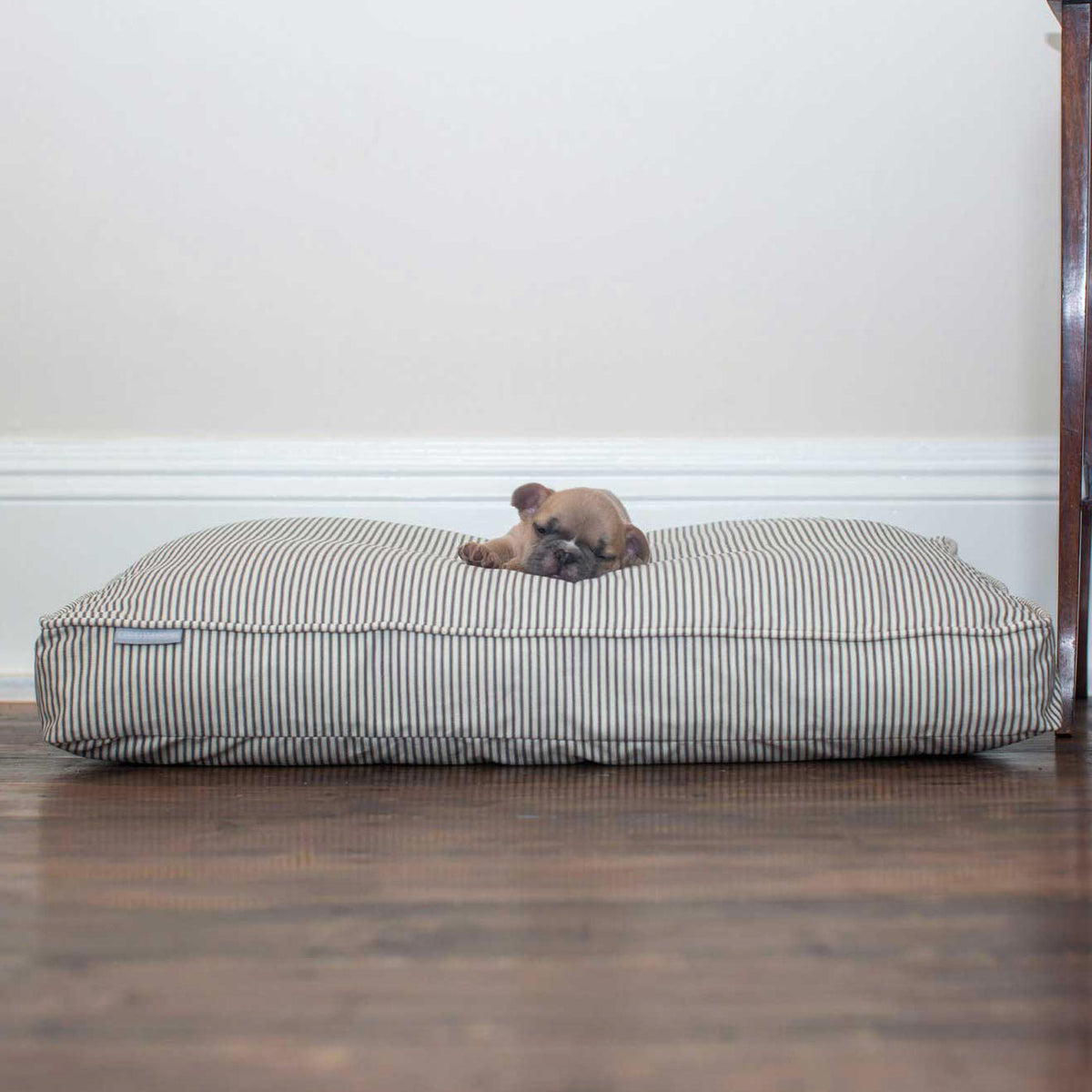 Dog Cushion in Regency Stripe, view 8