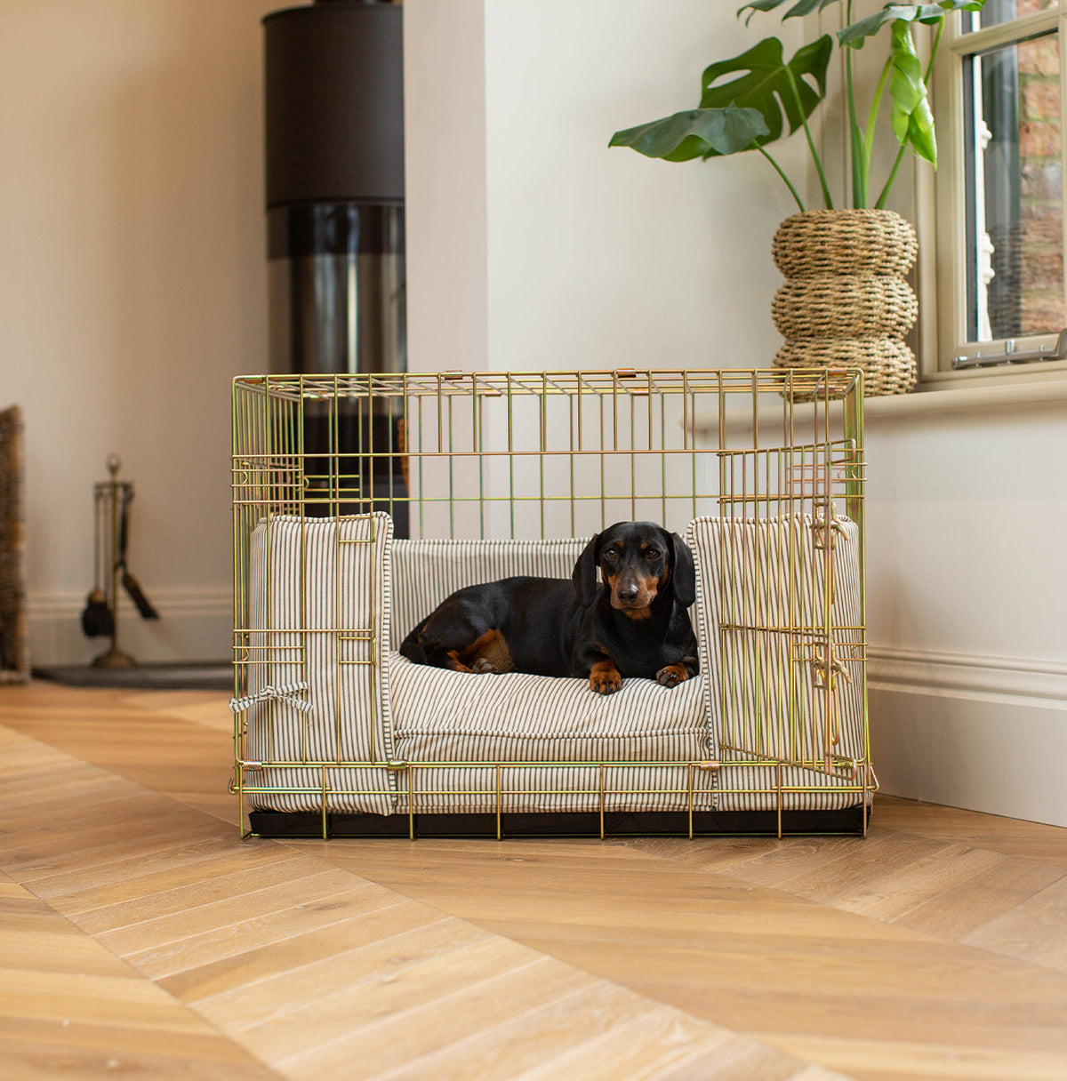 Dog Crate with Cushion & Bumper in Regency Stripe
