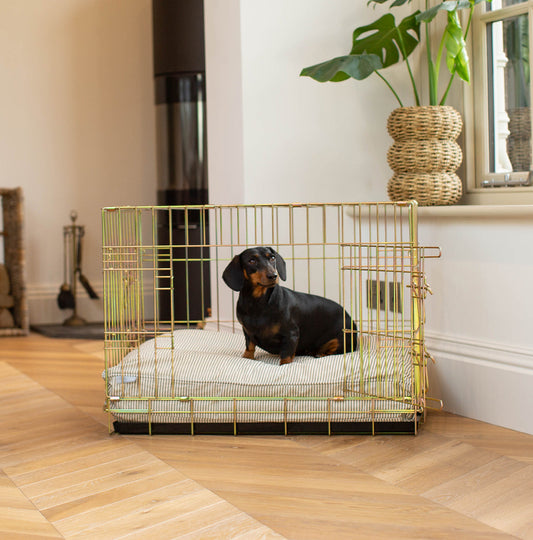 Dog Cushion in Regency Stripe