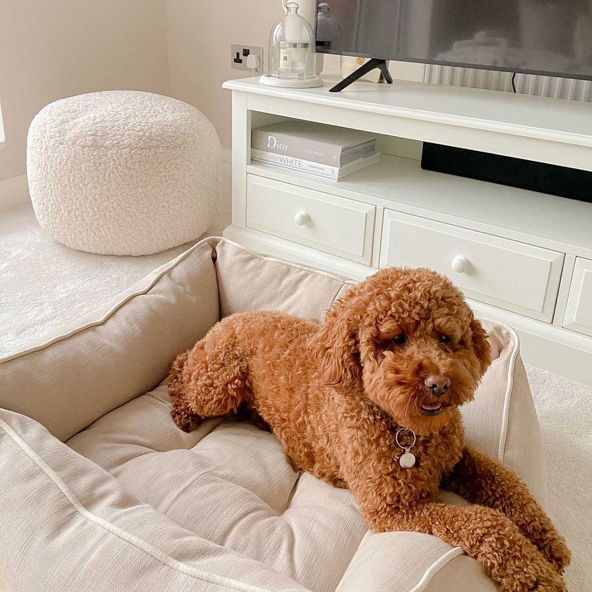 Box Bed With Removable Covers in Savanna Oatmeal, view 4