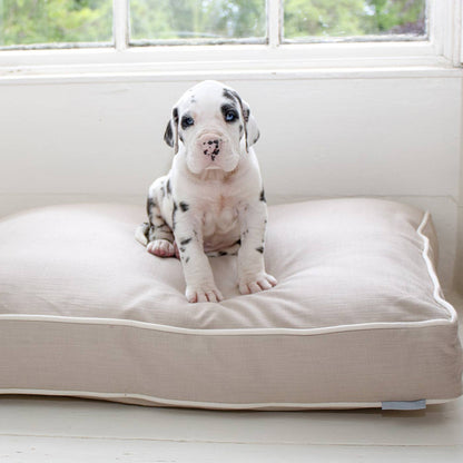 Cushion Covers in Savanna