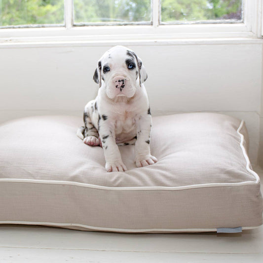 Cushion Covers in Savanna