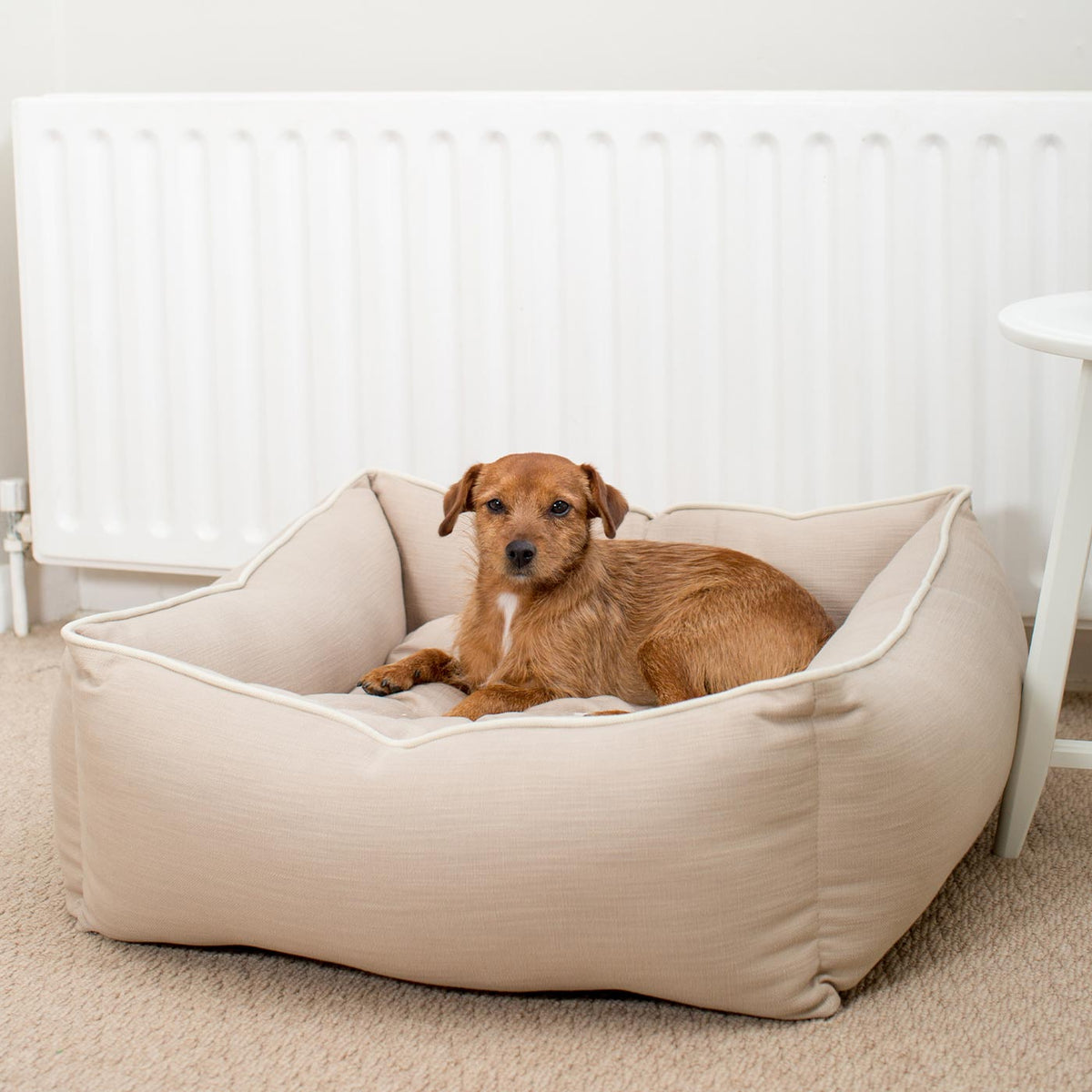 Box Bed With Removable Covers in Savanna Oatmeal, view 6