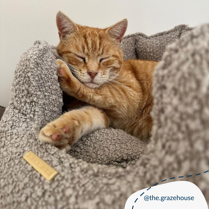 High Wall Bed For Cats With Removable Covers in Bouclé, view 14