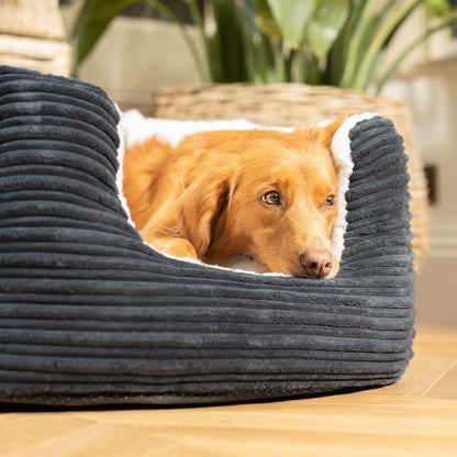 High Wall Bed With Removable Covers in Essentials Navy Plush, view 3