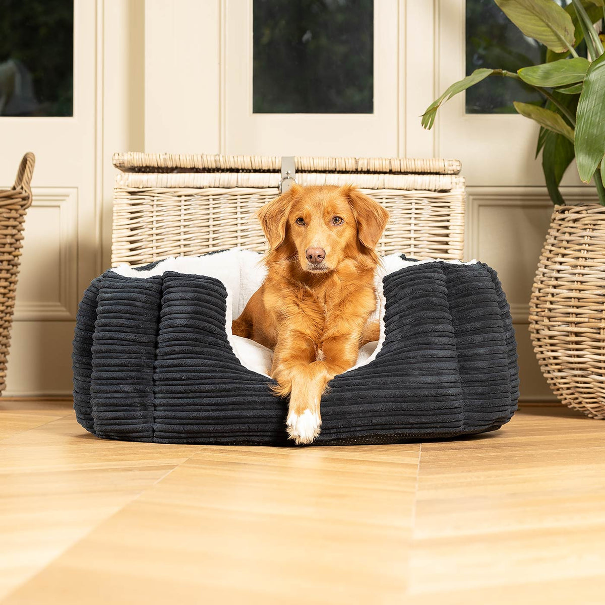High Wall Bed With Removable Covers in Essentials Navy Plush, view 4